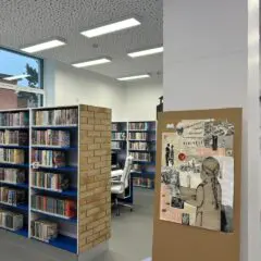 Z knihovních luhů a hájů: Domažlice, Otrokovice a Havířov